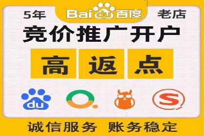 百度竞价广告投放策略案例